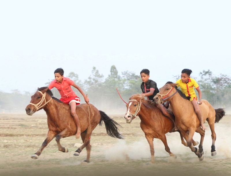 Horse Race in Bengal