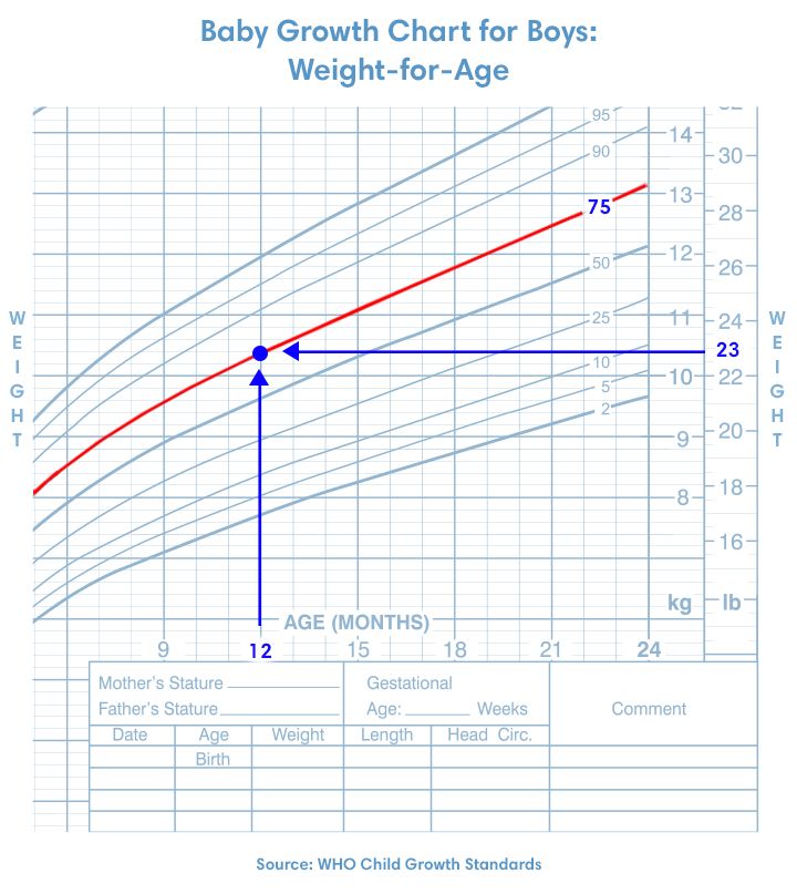 baby-growth-chart