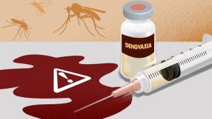 Dengue Why epidemic