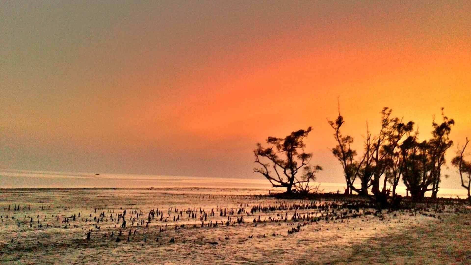Kotka Sea Beach, Sundarbans