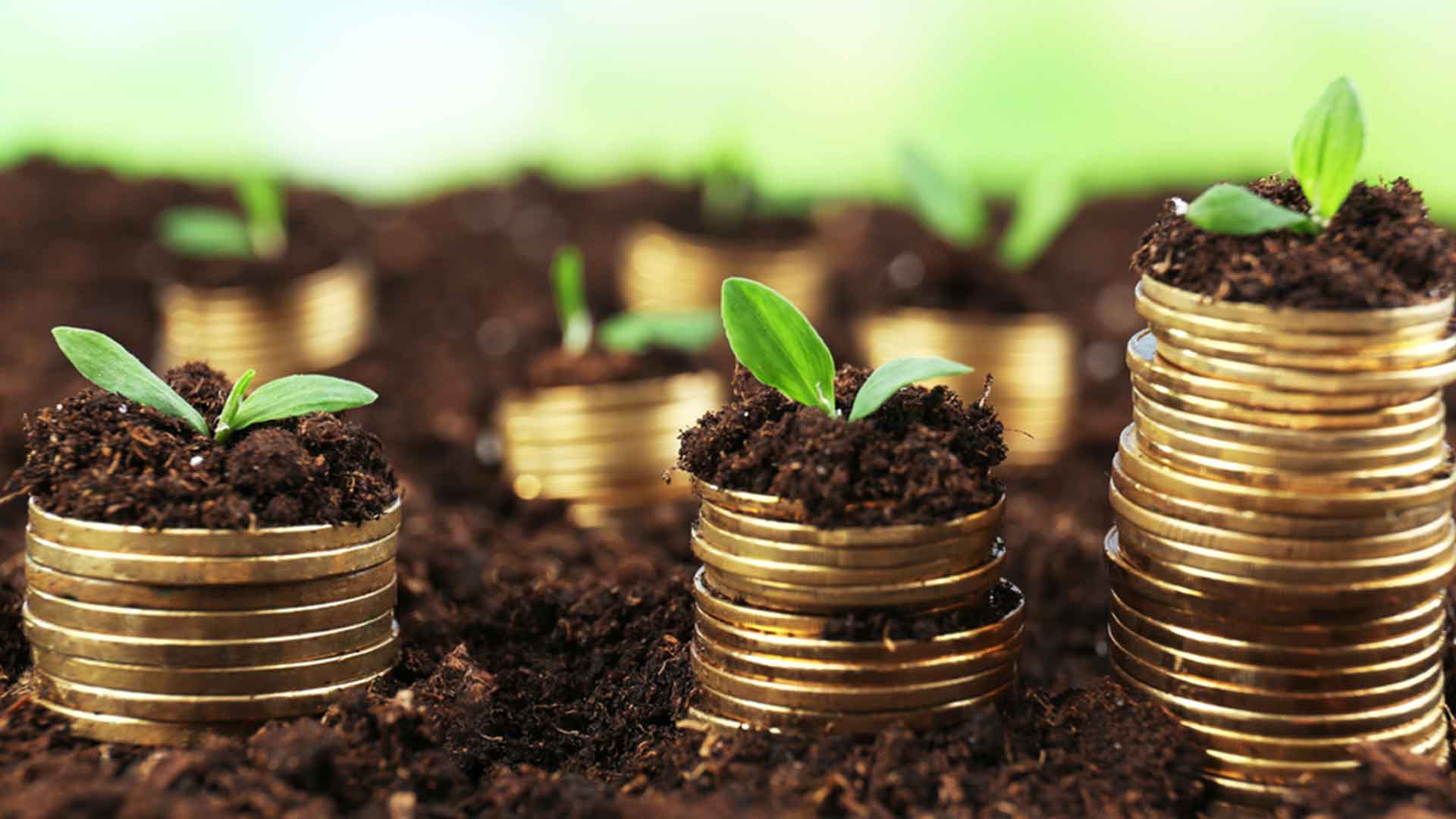 Foreign investment collapses, but the country still looks for hope