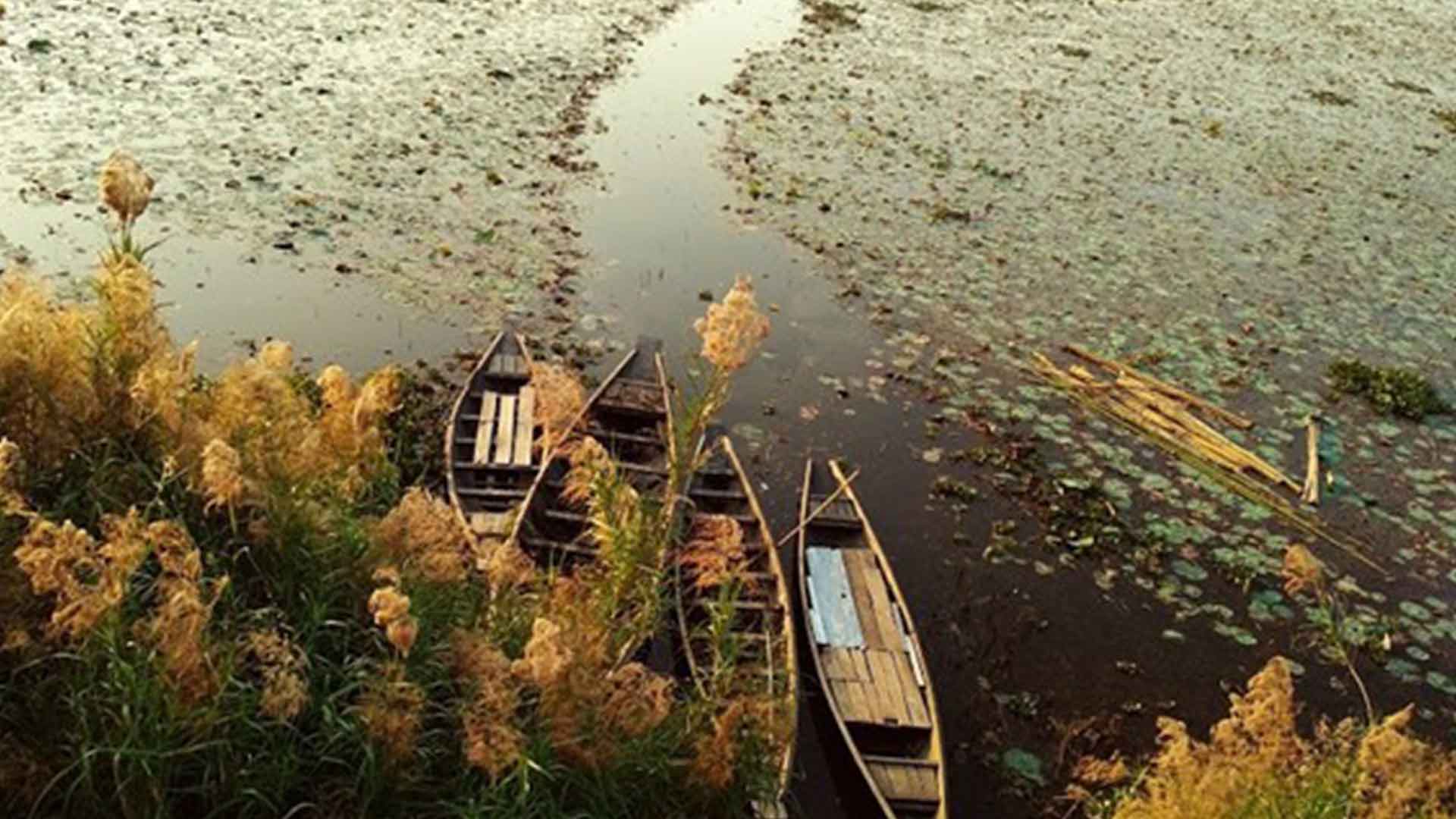 Moulvibazar: History and Culture