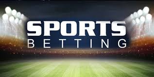 Discover the World of Premium Bet 12