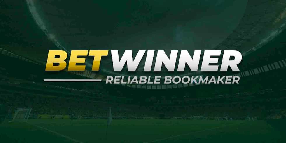 Experience Excitement at BetWinner Casino A Comprehensive Guide