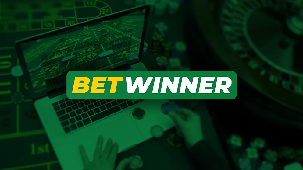 Experience Excitement at BetWinner Casino A Comprehensive Guide